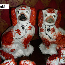 Red and white spaniels