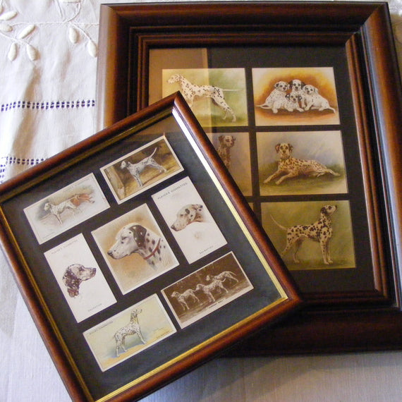 Framed Cigarette Cards Dalmatian