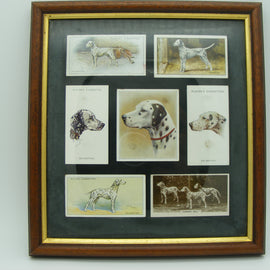 Framed Cigarette Cards Dalmatian